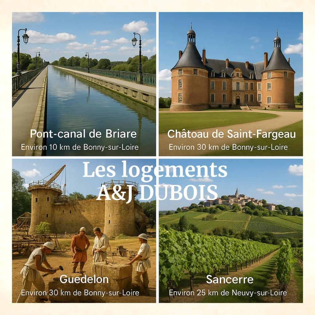 A&J Family - Neuvy Sur Loire - Guedelon Villa Ngoại thất bức ảnh