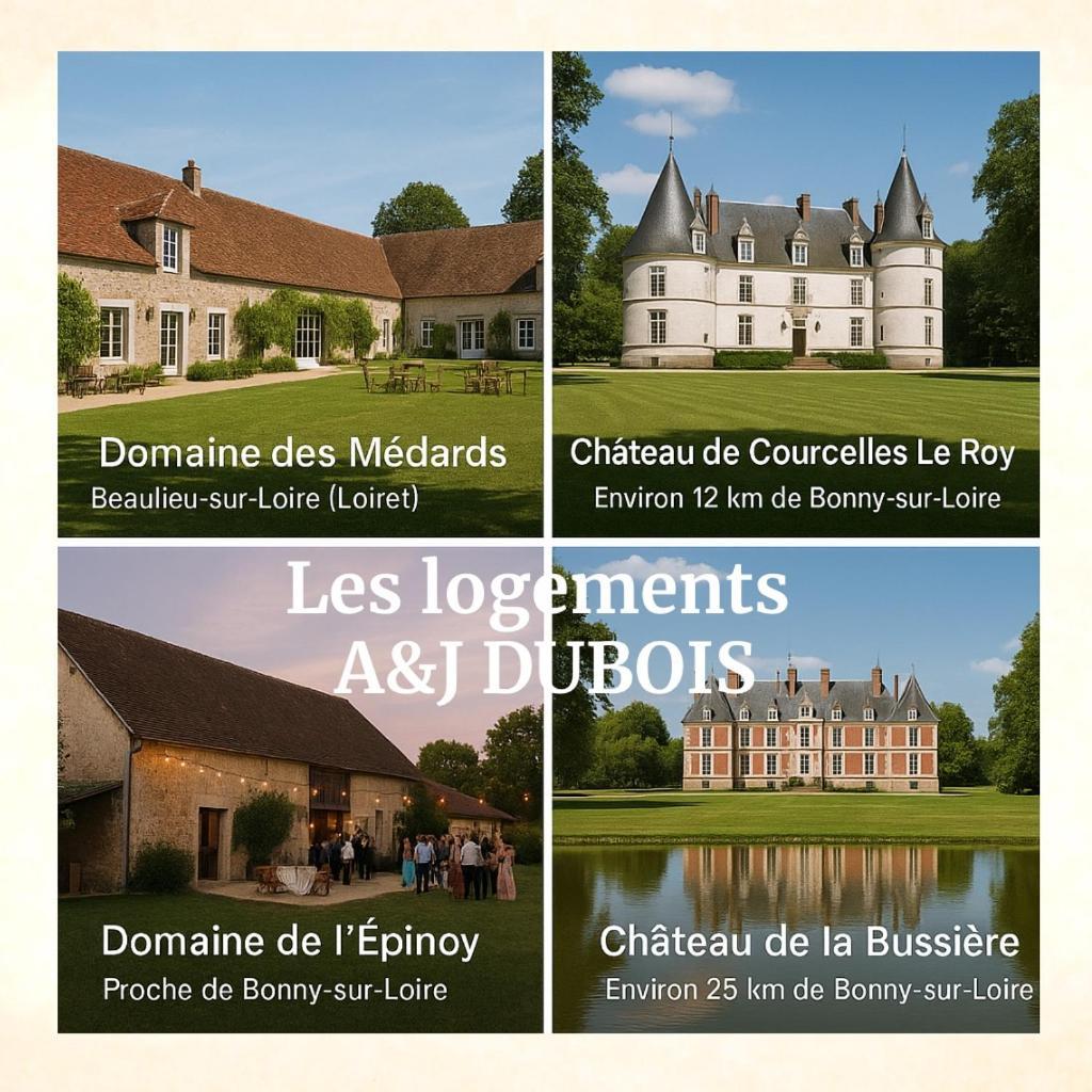 A&J Family - Neuvy Sur Loire - Guedelon Villa Ngoại thất bức ảnh